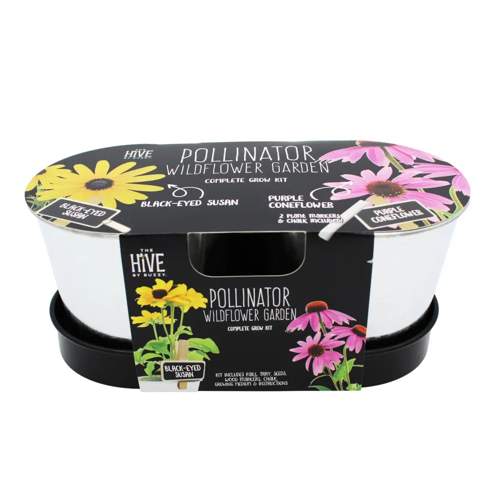 Pollinator Garden blomstersæt 2-pak rudbeckia solhat