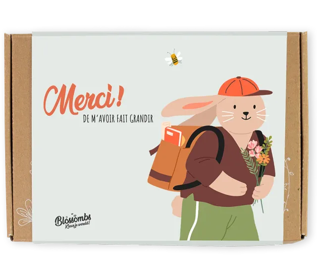 Blossombs Gift Box Small frøbomber 7 stk merci