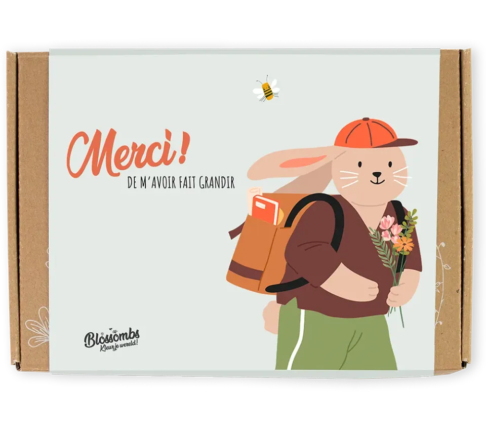 Blossombs Gift Box Small frøbomber 7 stk merci