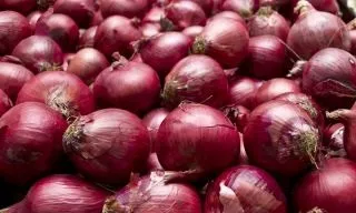 Natureseeds Scarlet rødløg frø mild sød