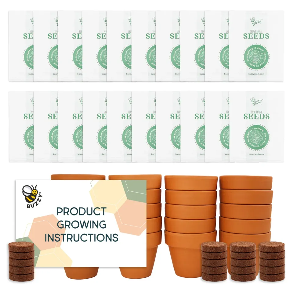 Buzzy Seeds solsikke dyrkningssæt terracotta 20-pak