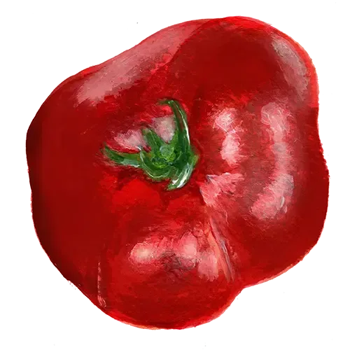 NordFrö Sasha Altai tomatfrø tidlig hårdfør