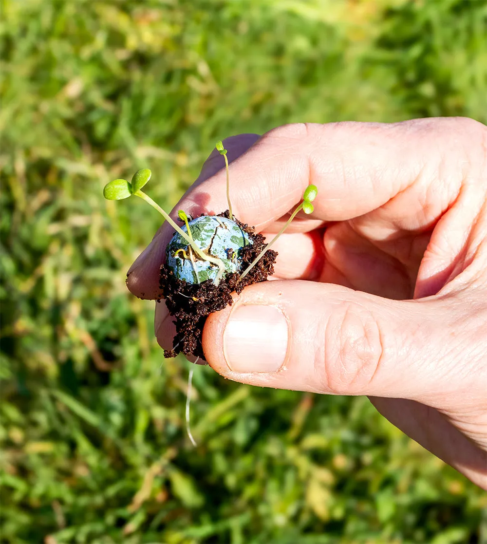Blossombs Earth frøbombe jordklode 1 stk grøn