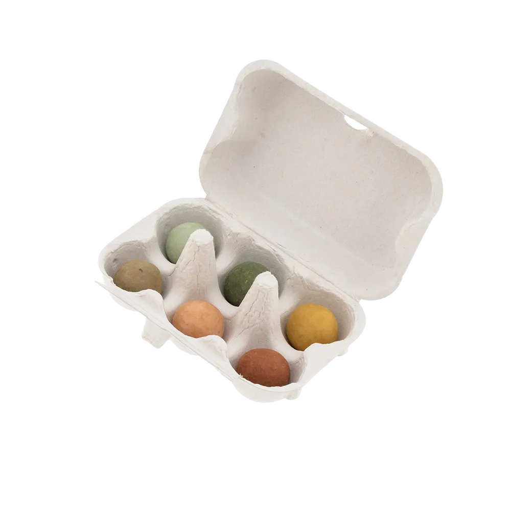 Blossombs Bloemen Voor Jou æggebakke frøbomber 6 stk buket
