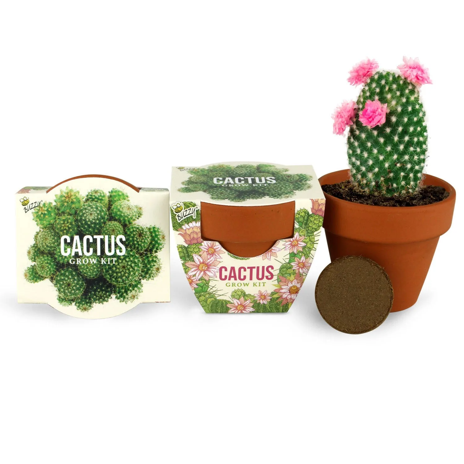 Daydream Mini Terracotta dyrkningssæt 6-pak blomster kaktus