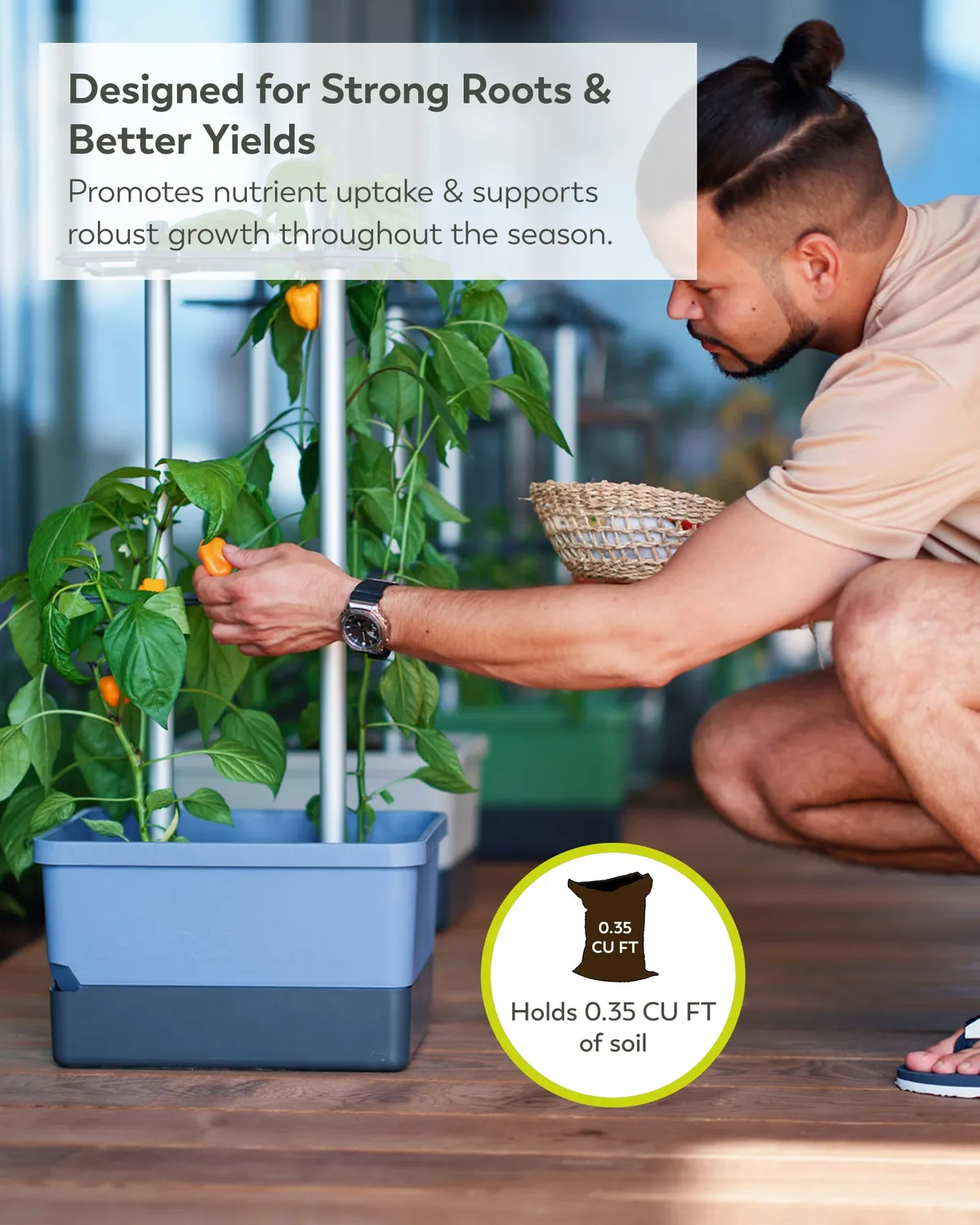 Buzzy Seeds selvvandende chili potte med espalier grøn