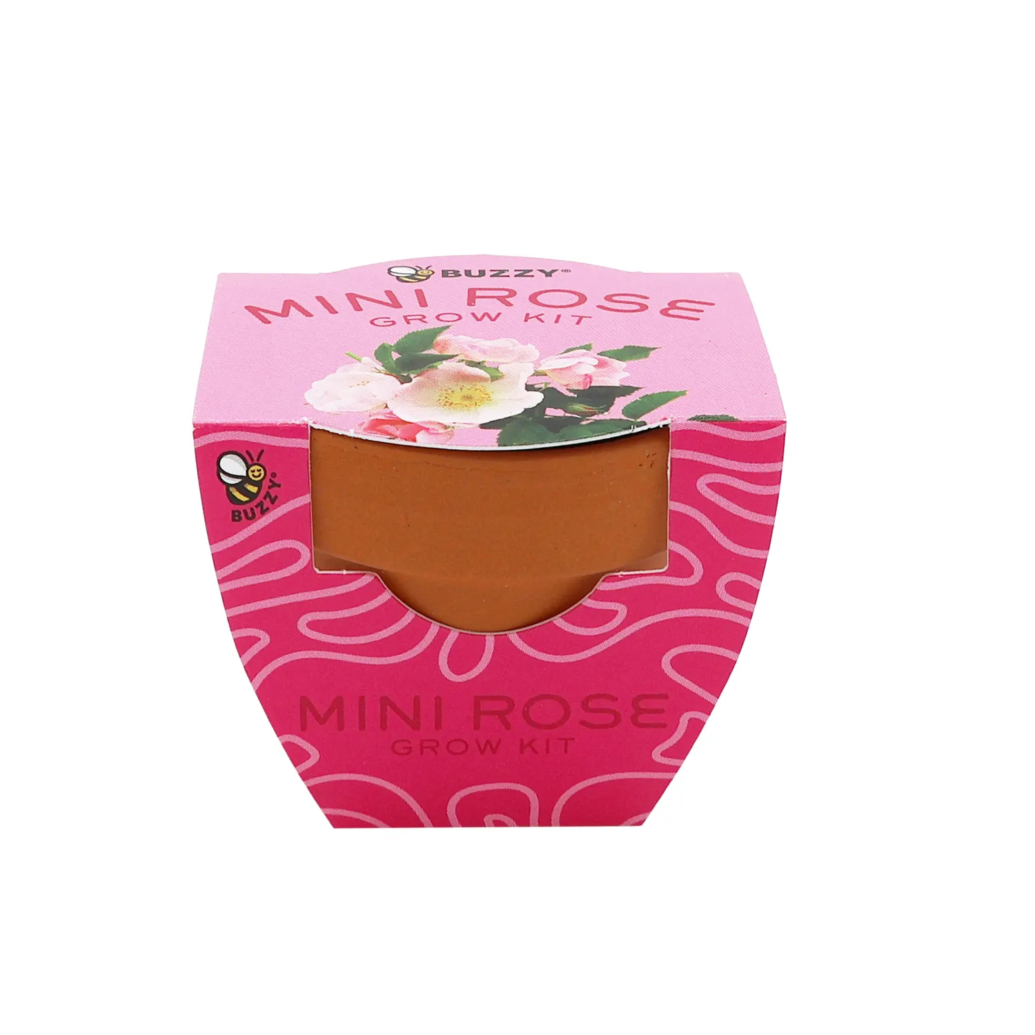 Buzzy Seeds Bright dyrkningssæt 12 stk mini rose