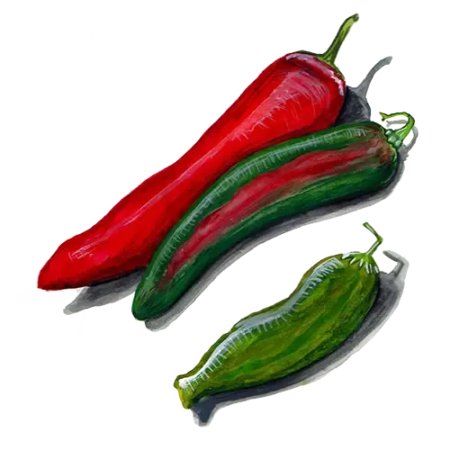 NordFrö Anaheim chili frø mild 20 cm