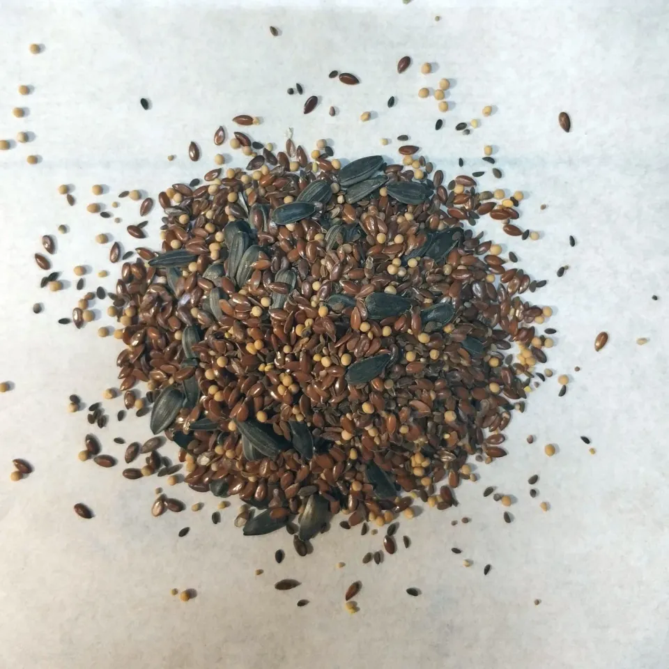 Trifolium efterafgrøde frøblanding 6 arter