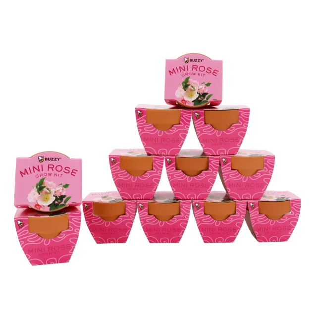 Buzzy Seeds Bright dyrkningssæt 12 stk mini rose