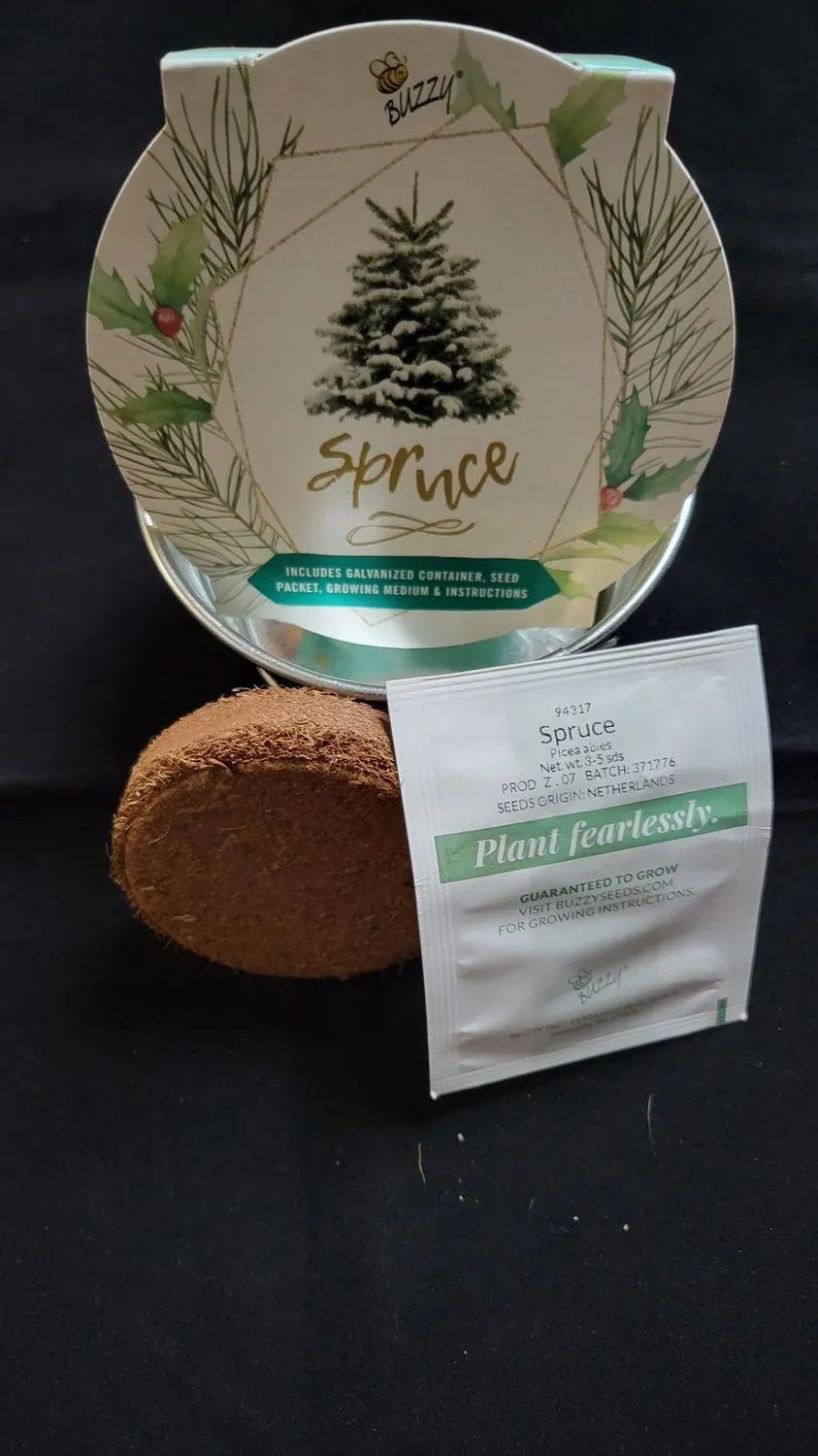Buzzy Seeds Christmas Tree dyrkningssæt miniskål gran