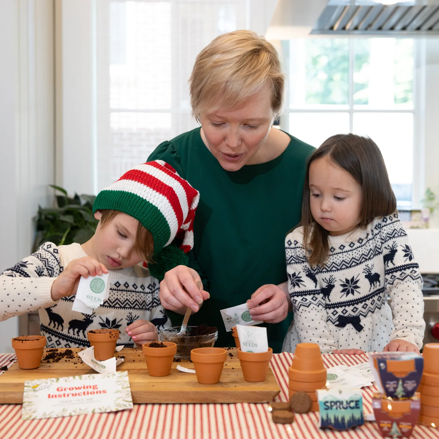 Buzzy Seeds Norway Spruce dyrkningssæt 20 stk minipotte