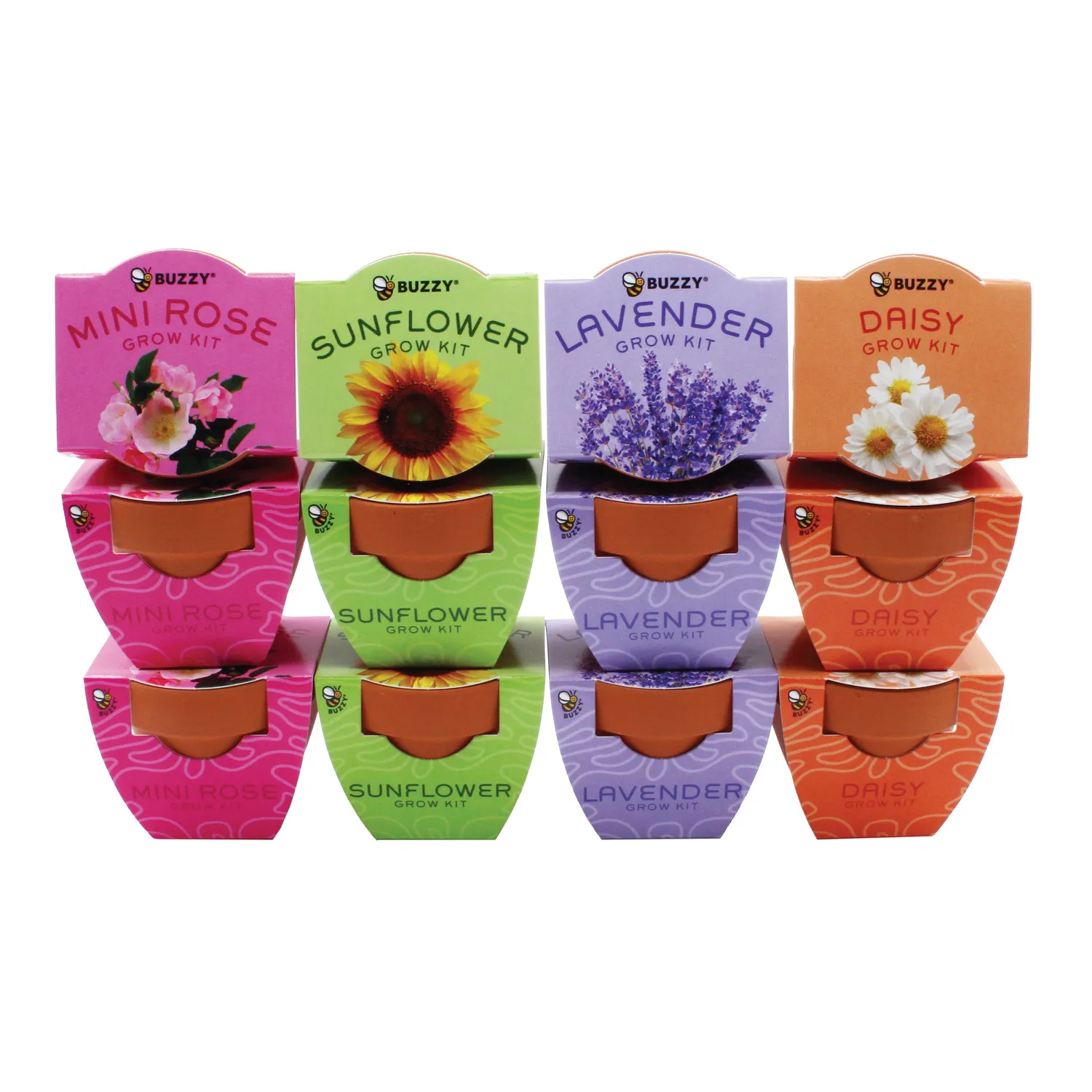 Buzzy Seeds Bright dyrkningssæt minipotte 12-pak blandede blomster