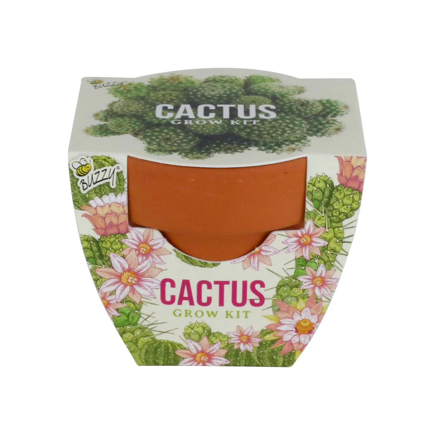 Daydream Mini Terracotta dyrkningssæt 6-pak blomster kaktus