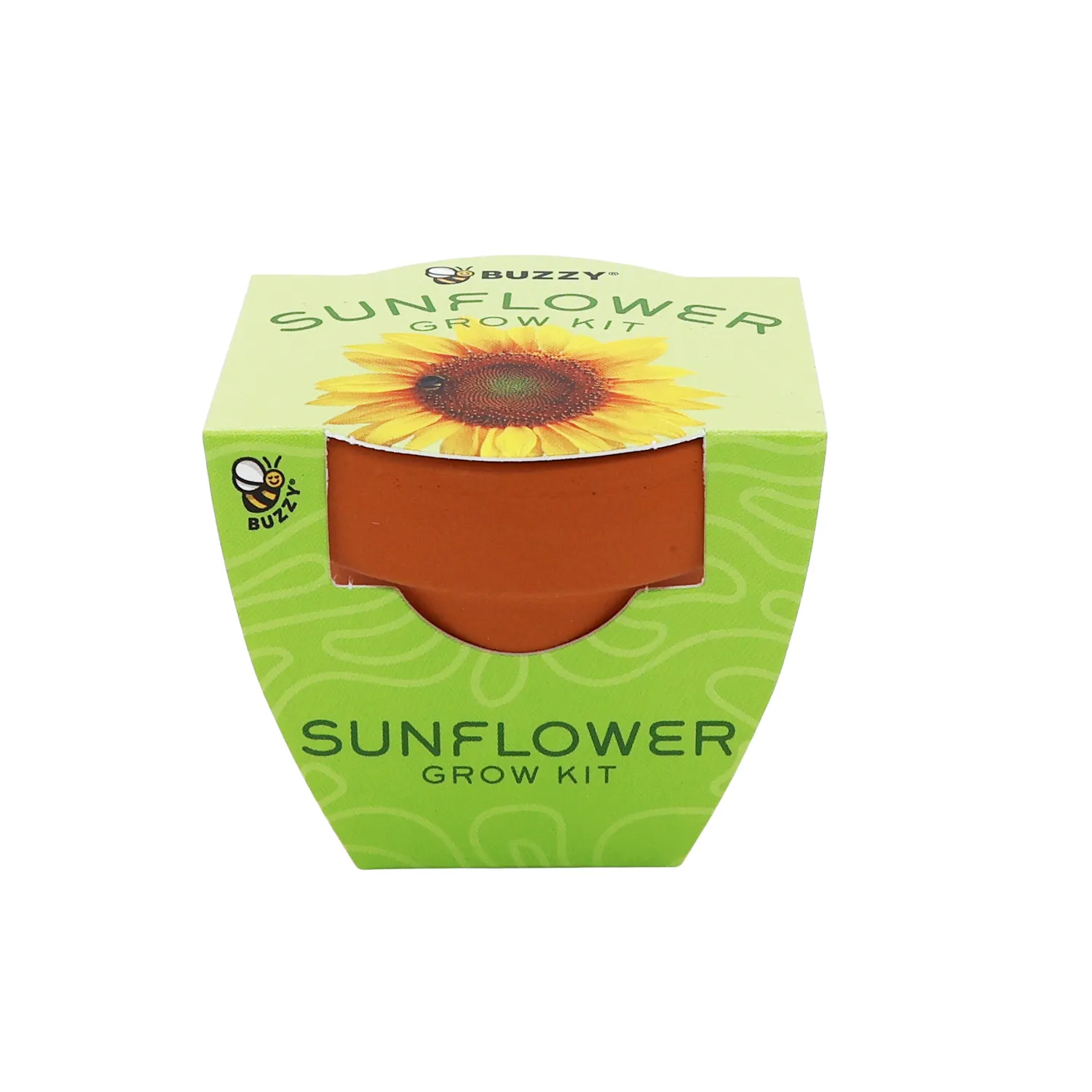 Buzzy Seeds Bright Solsikke dyrkningssæt terracotta 12-pak