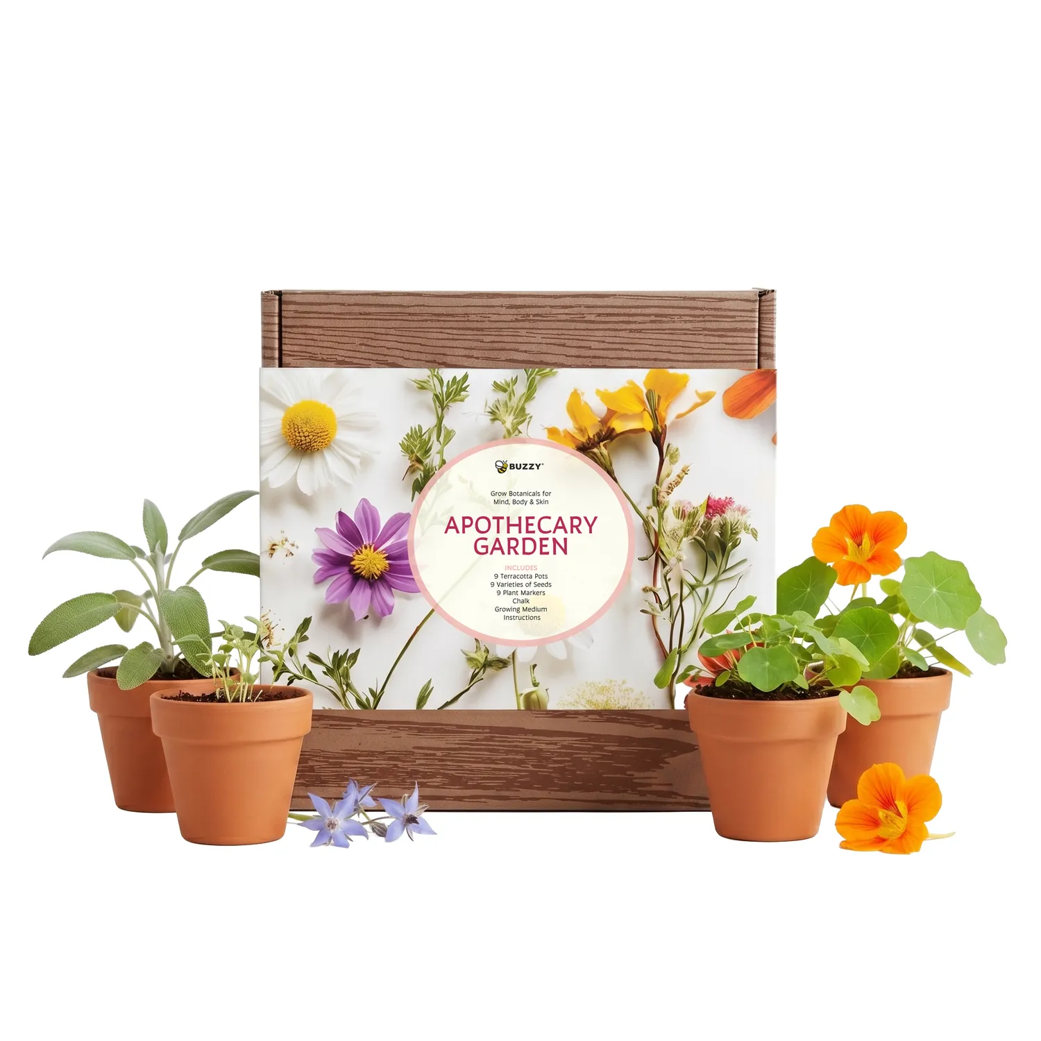 Buzzy Seeds Apothecary Garden dyrkningssæt 9-pak urtefrø