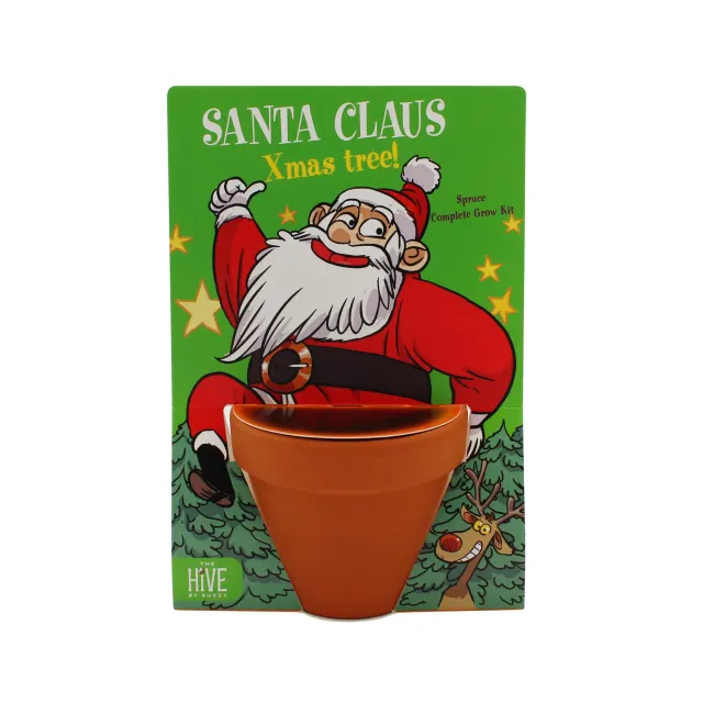 Buzzy Seeds Christmas Tree dyrkningssæt 4-pak gran