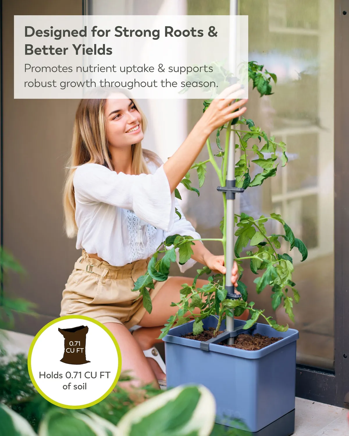 Buzzy Seeds selvvandende tomatpotte med espalier grøn