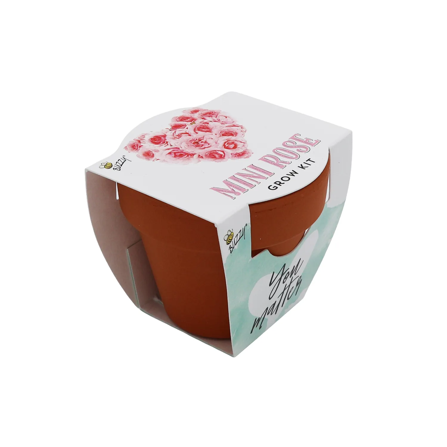 Buzzy Seeds Love minirose dyrkningssæt 12-pak rosa