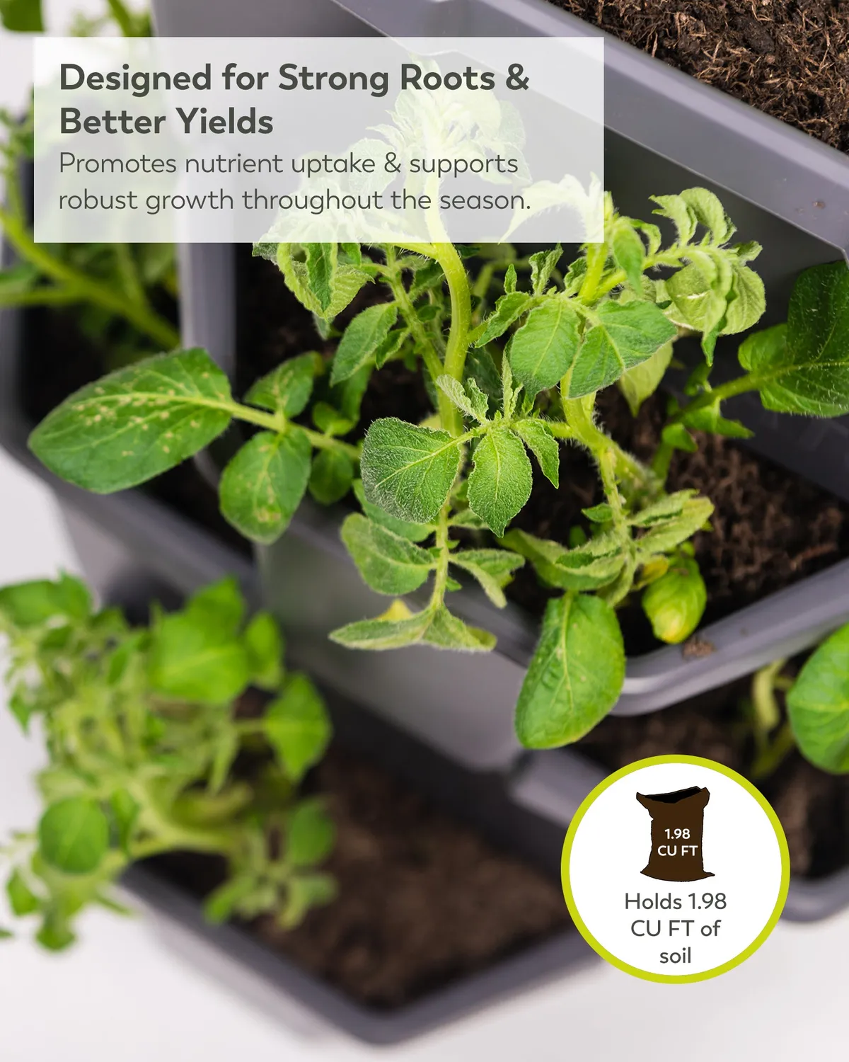 Buzzy Seeds vertikalt dyrkningstårn 4 niveauer højbed