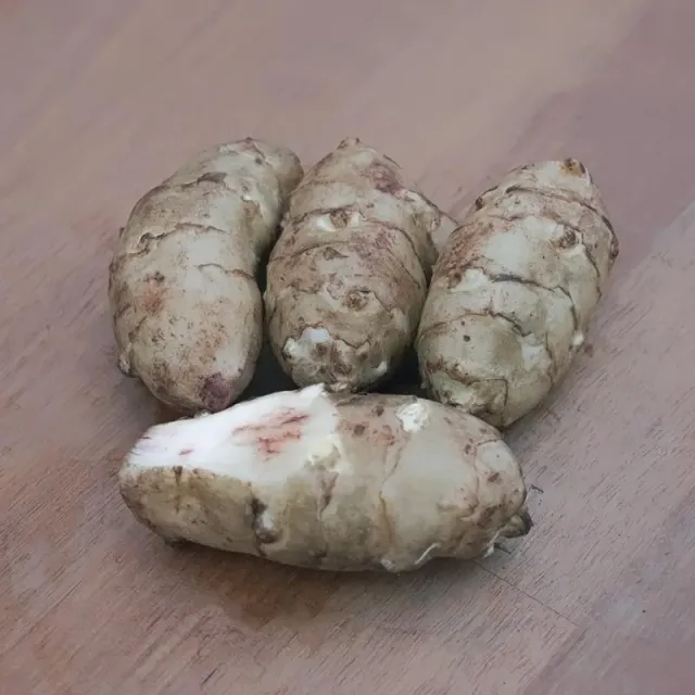 Urtegartneriet øko Jordskok Rema knolde 1 kg lager