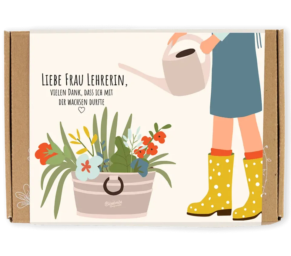 Blossombs Gift Box Small frøbomber Lehrer 7 stk