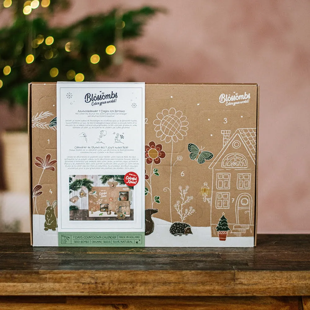 Blossombs Adventskalender frøbomber 7 låger jule