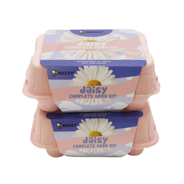 Buzzy Seeds Daisy dyrkningssæt æggebakke marguerit 2-pak