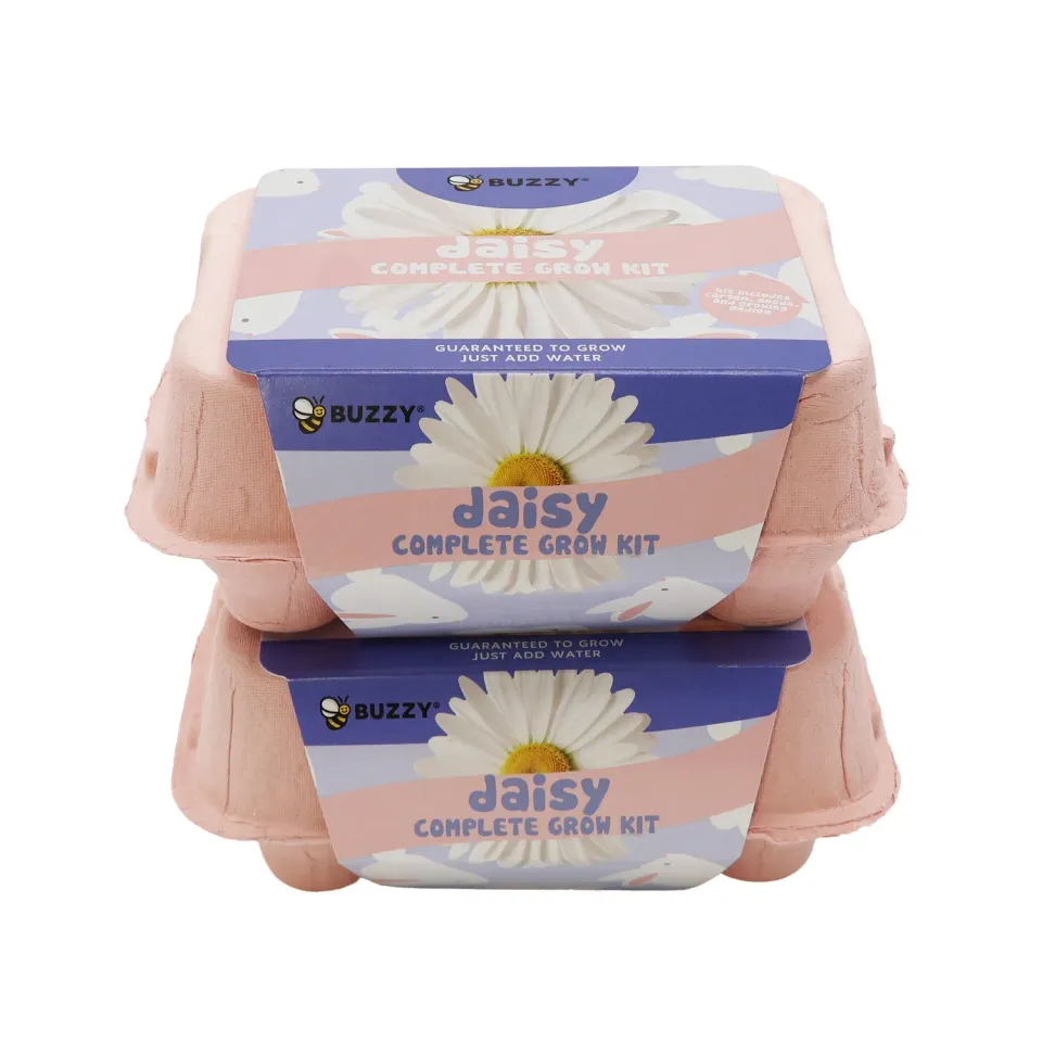 Buzzy Seeds Daisy dyrkningssæt æggebakke marguerit 2-pak