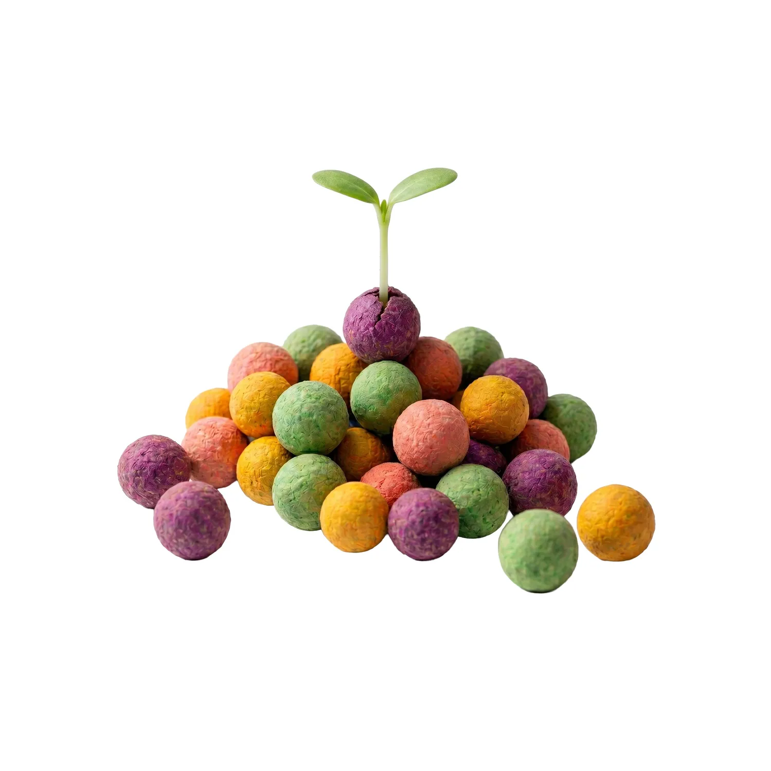 Buzzy Seeds Wildflower frøbomber 20-pak bestøvermix