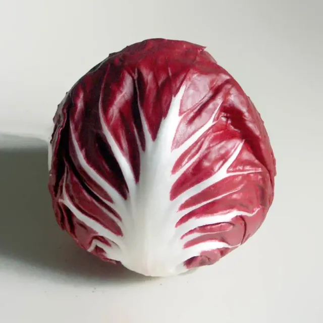 Urtegartneriet øko Radicchio rød endiviesalat frø 100 frø