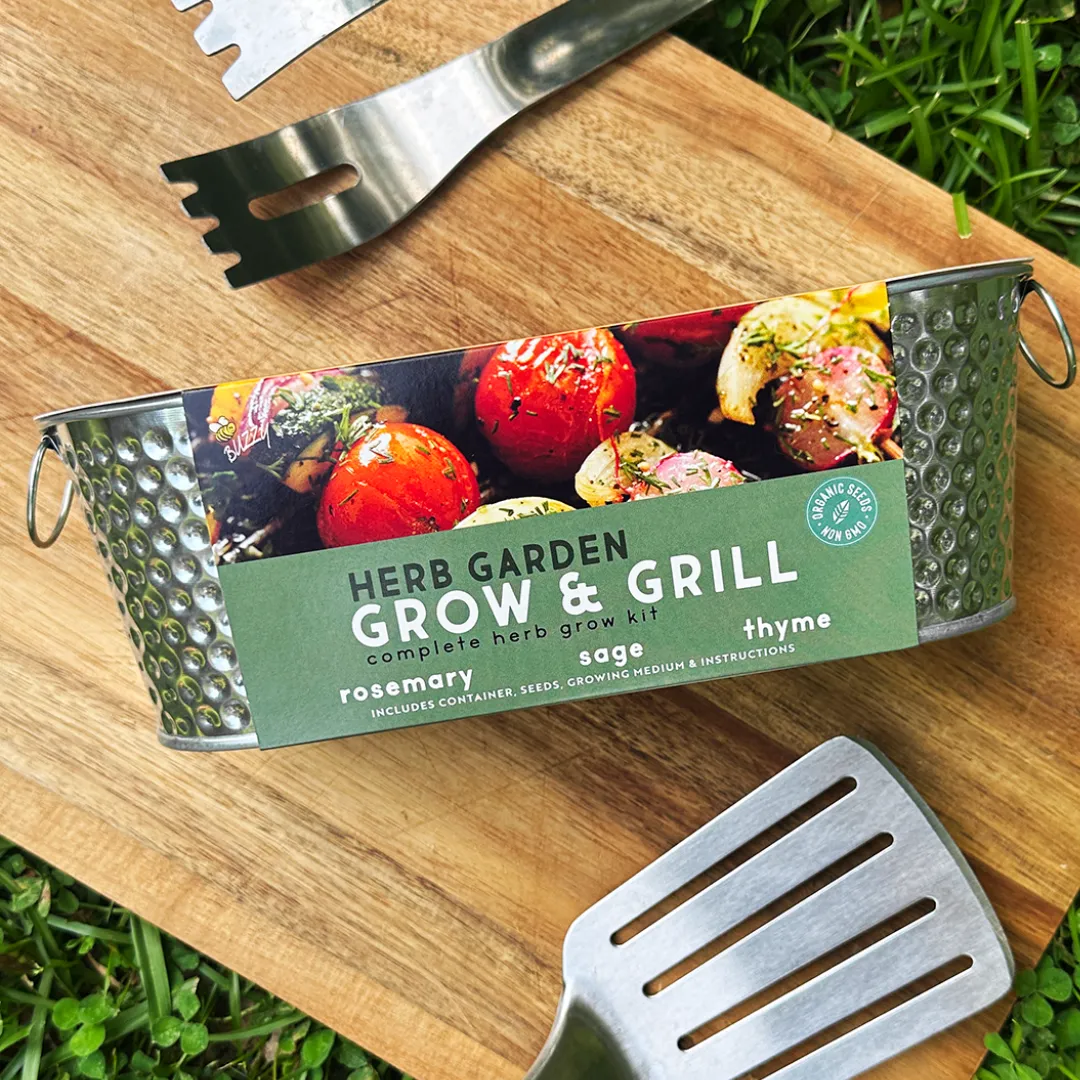 Buzzy Seeds Organic Grilling Herb dyrkningssæt rosmarin salvie timian