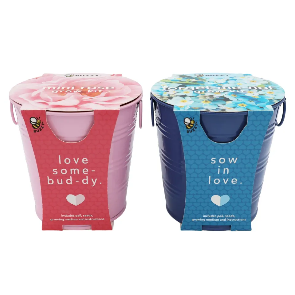 Buzzy Seeds Flower Pail Duo dyrkningssæt 2-pak minirose