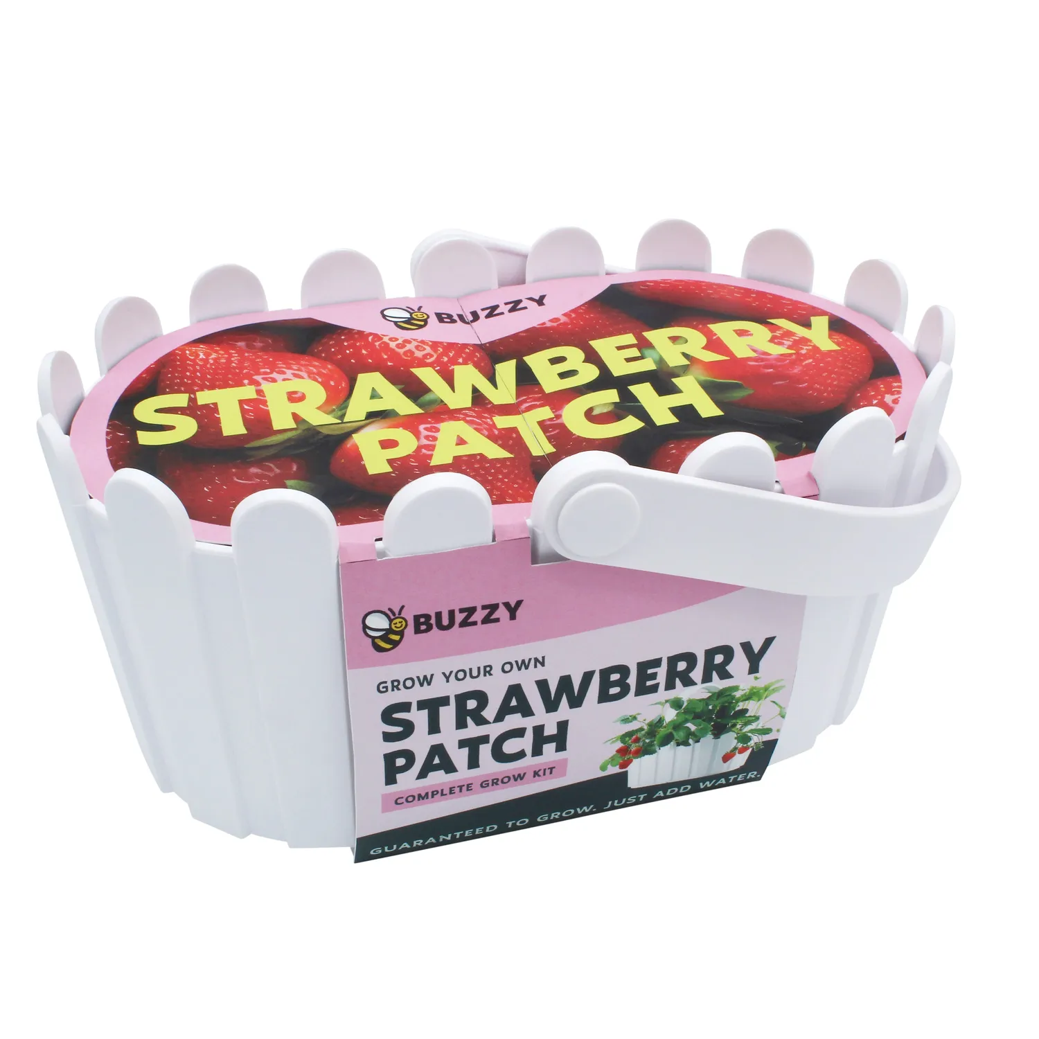 Buzzy Seeds Strawberry Grow Kit dyrkningssæt hvid kurv