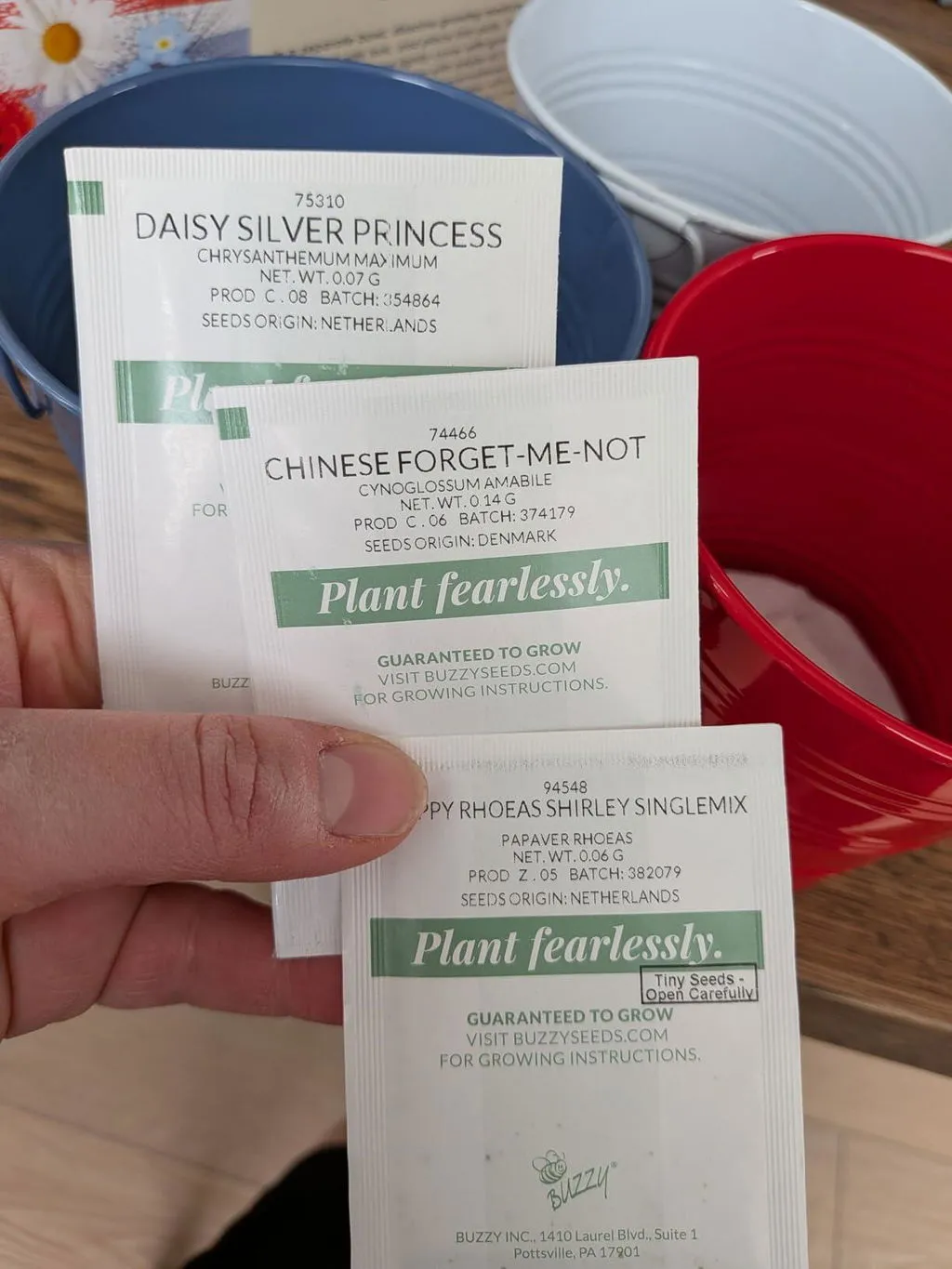 Buzzy Seeds Flower Pail Mini Rose Lavender dyrkningssæt 2-pak duft