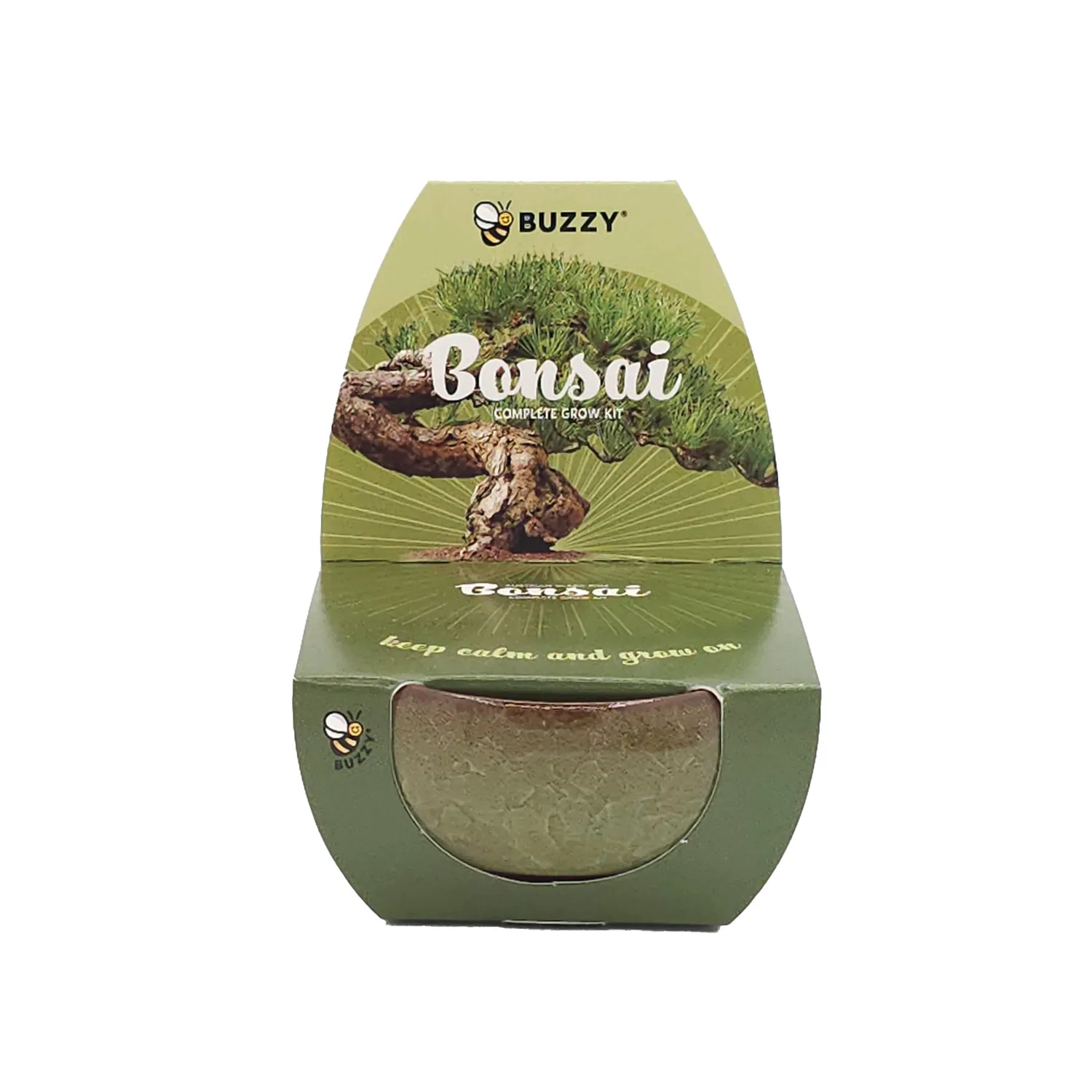 Buzzy Seeds Bonsai dyrkningssæt 4 mini keramikpotter