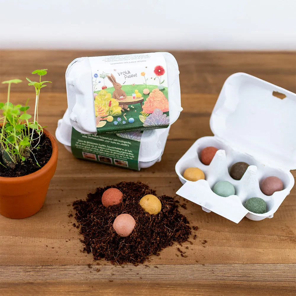 Blossombs Easter Wonderland frøbomber 6 stk æggebakke vilde blomster