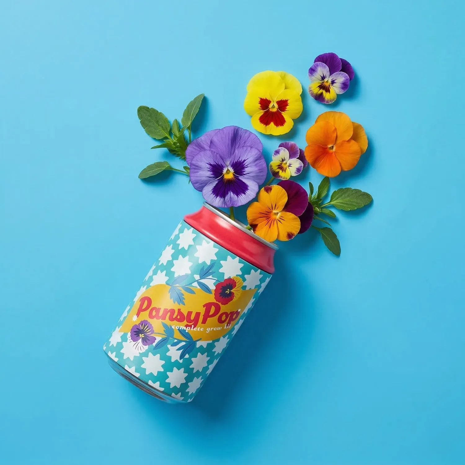 Buzzy Seeds Pansy Pop dyrkningssæt sodadåse stedmoder