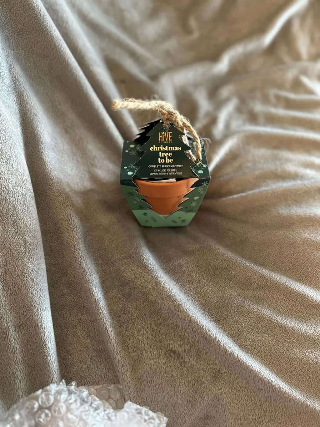 Buzzy Seeds Christmas Tree To Be dyrkningssæt 4 potter