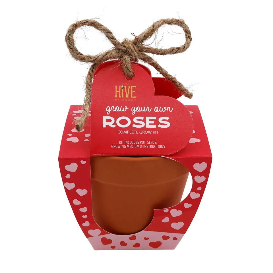 Buzzy Seeds Mini Rose dyrkningssæt terracotta 4-pak kærlighed