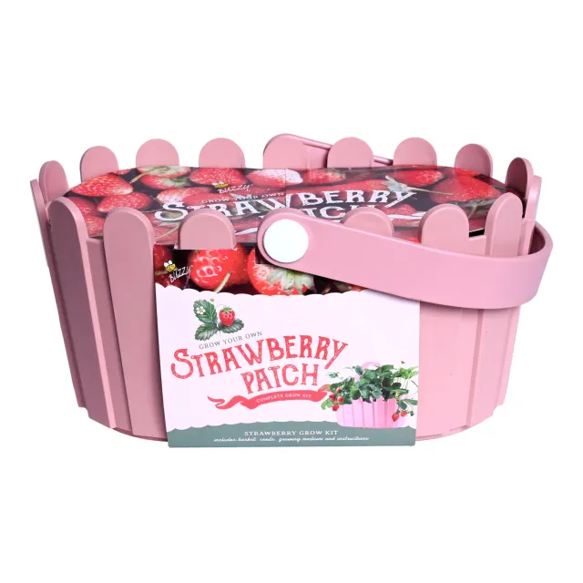 Buzzy Seeds Strawberry Grow Kit dyrkningssæt lyserød kurv