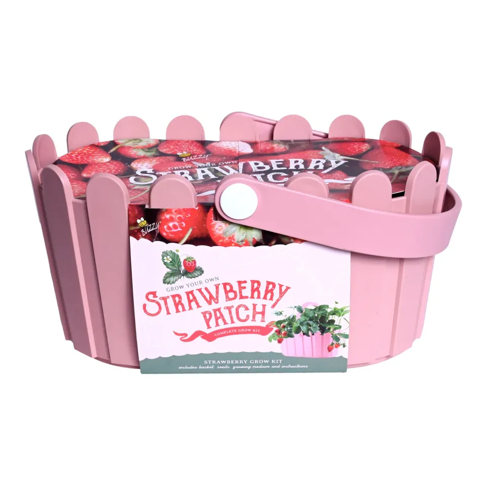 Buzzy Seeds Strawberry Grow Kit dyrkningssæt lyserød kurv