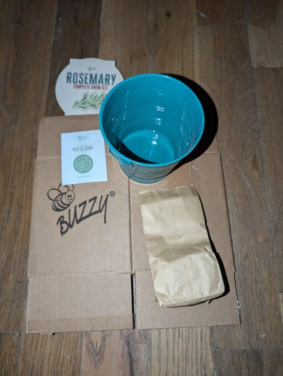 Buzzy Seeds Warm Wishes Holiday Pail dyrkningssæt rosmarin