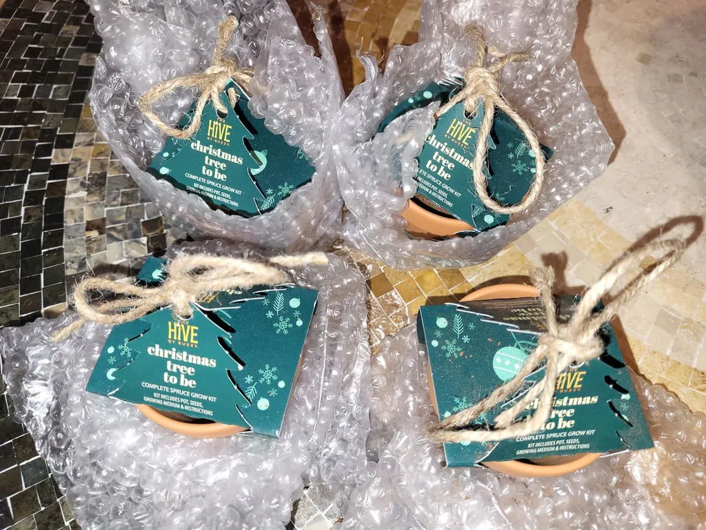 Buzzy Seeds Christmas Tree To Be dyrkningssæt 4 potter