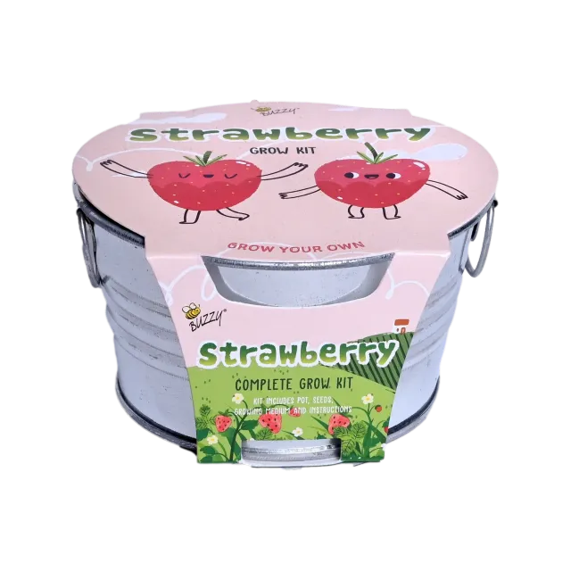 Buzzy Seeds Kids Strawberry dyrkningssæt mini basin jordbær