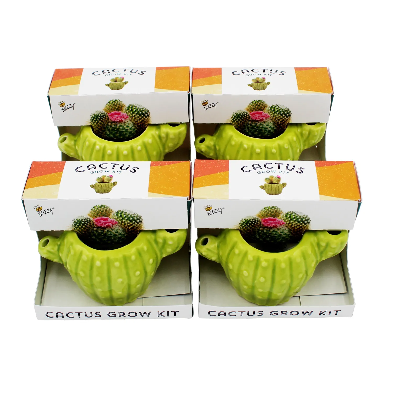 Buzzy Seeds Cactus dyrkningssæt 4-pak keramikpotter