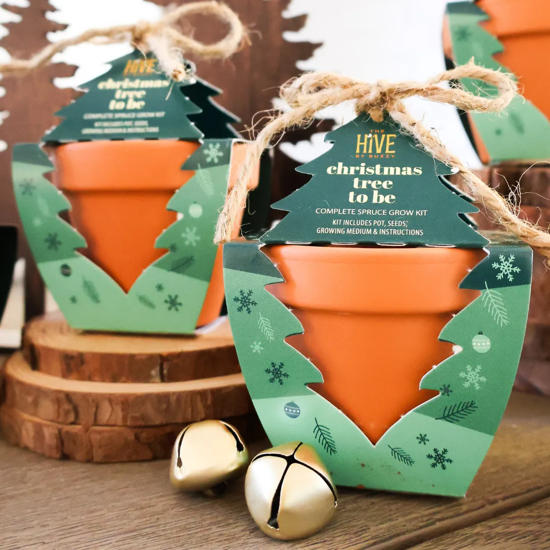 Buzzy Seeds Christmas Tree To Be dyrkningssæt 4 potter