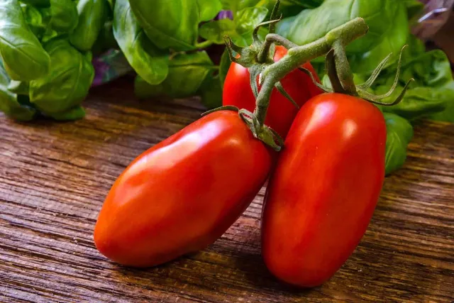 Natureseeds San Marzano tomatfrø 10 stk sauce
