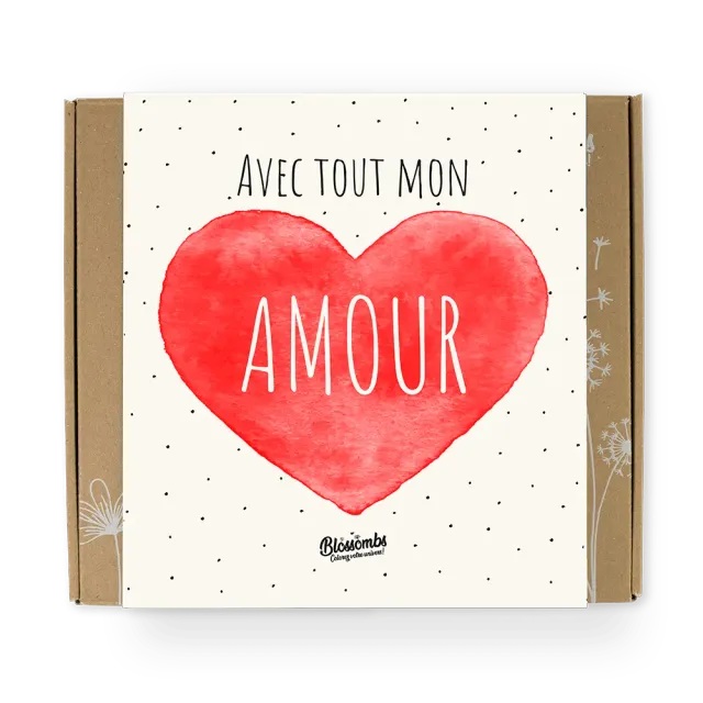 Blossombs Gift Box Medium frøbomber 9 stk Amour kærlighed