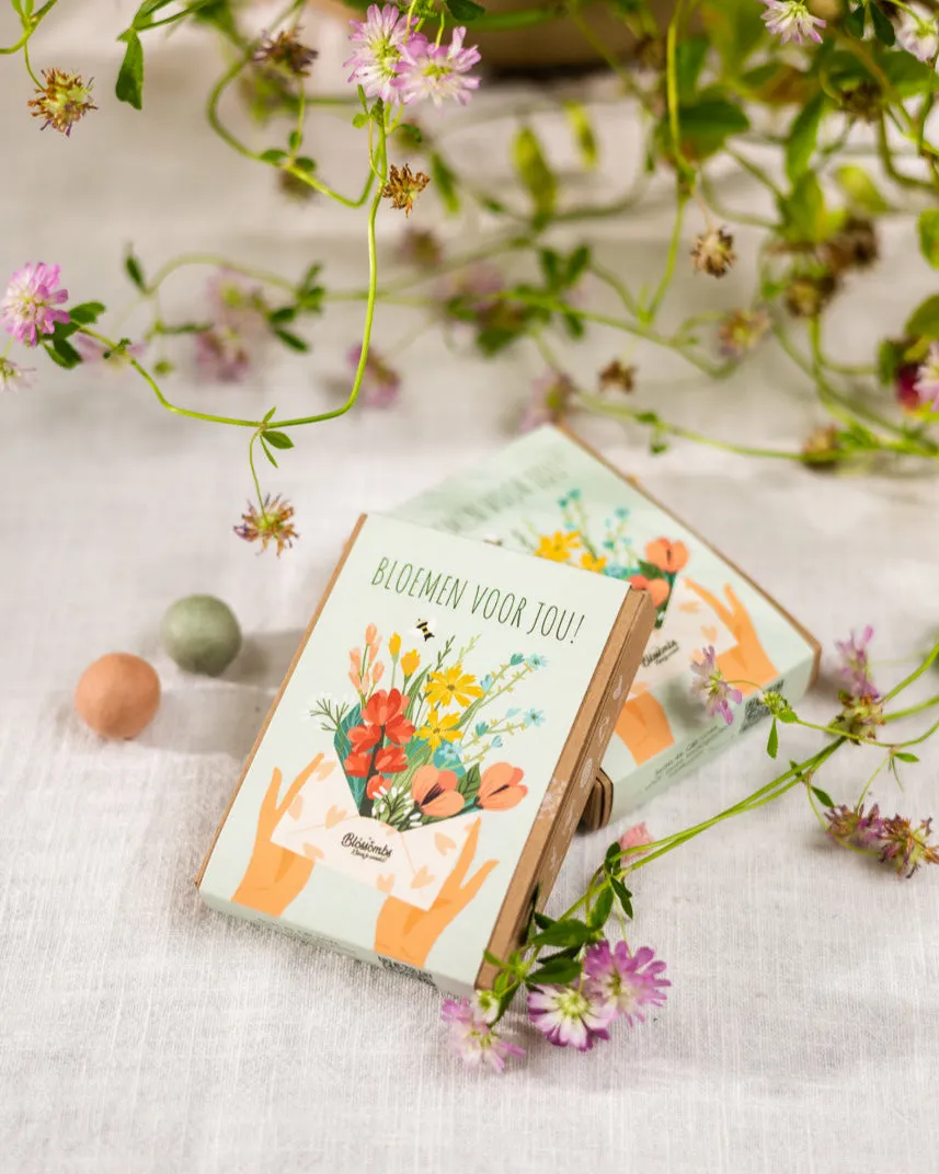 Blossombs Gift Box Mini frøbomber 4 stk Bloemen voor jou bi-venlig